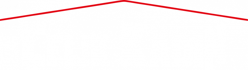 Logo Light
